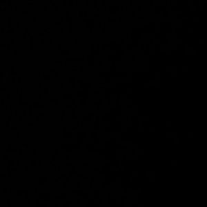 Meet your Posher, Peyton